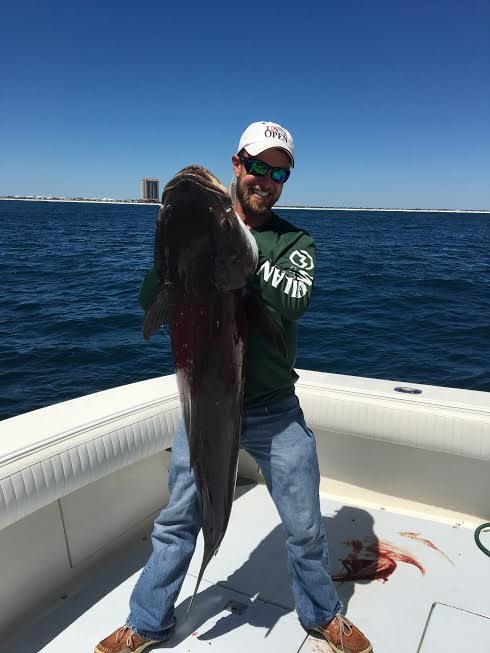 So it's April again, and the annual Cobia migration is in full swing.  It is my favorite type of fishing, and I look forward to it every year.