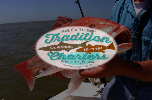 Book Your Red Snapper Fishing Charter Today