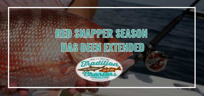 Tradition Fishing Charters  Florida Red Snapper Season Has Been Extended